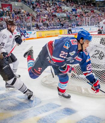 Adler Mannheim Vorschau NIT