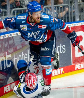 Adler Mannheim Vorschau SCB2
