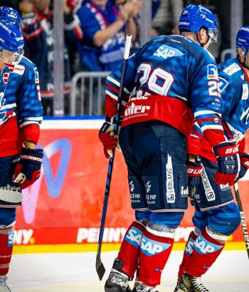Adler Mannheim Vorschau SCB3