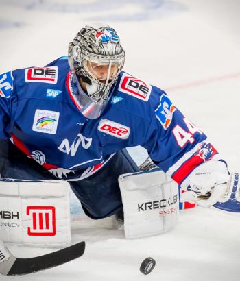 Adler Mannheim Vorschau SWW