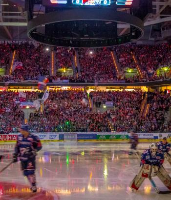Adler Mannheim Vorschau SdlH