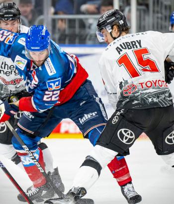 Adler Mannheim Vorschau VF3