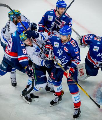Adler Mannheim Vorschau VF