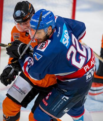 Adler Mannheim Vorschau WOB2