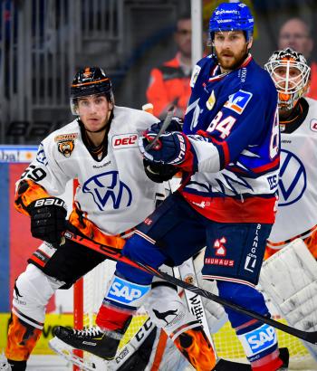 Adler Mannheim Vorschau WOB3