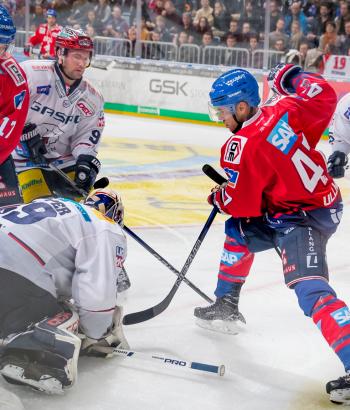 Adler Mannheim VorschauEBB