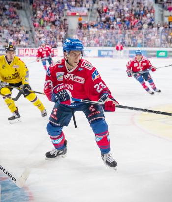Adler Mannheim VorschauKEV