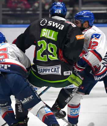 Adler Mannheim Vorstellung AEV4