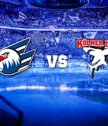 Adler Mannheim Vorstellung Haie app