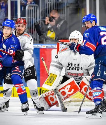 Adler Mannheim Vorstellung KEC