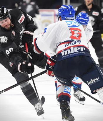 Adler Mannheim Vorstellung NIT3