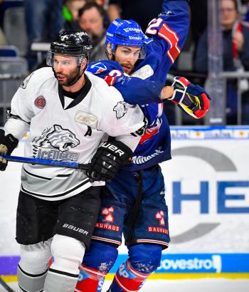 Adler Mannheim Vorstellung NIT