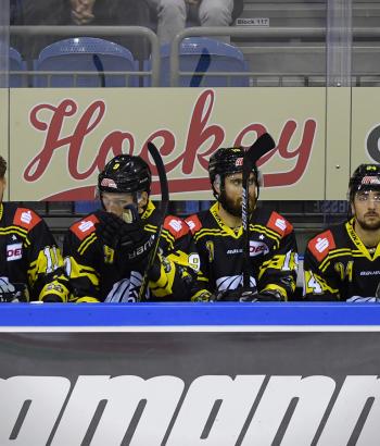 Adler Mannheim Vorstellung Pinguine