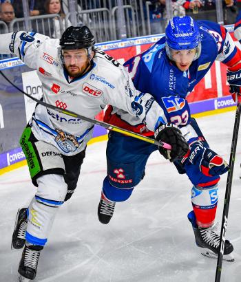 Adler Mannheim Vorstellung STR3