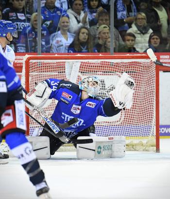 Adler Mannheim Vorstellung SWW2