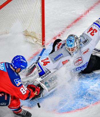 Adler Mannheim Vorstellung SWW3