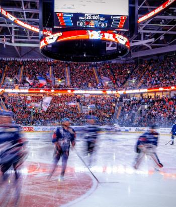 Adler Mannheim ausverkauft APP