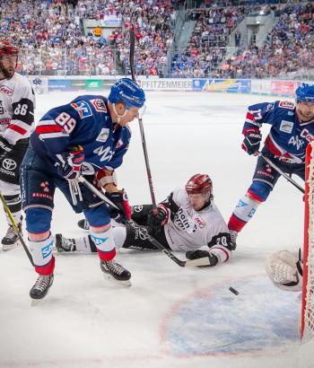 Adler Mannheim vs KEC