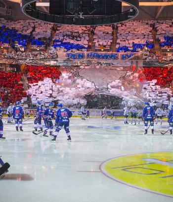 Adler mannheim auftakt schwenningen