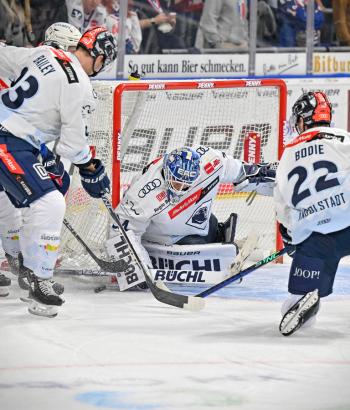 Adler MAnnheim PC ING