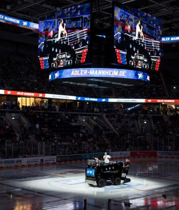 Adler Mannheim Bullyzeit RBM
