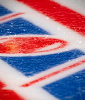 Adler Mannheim Bullyzeit