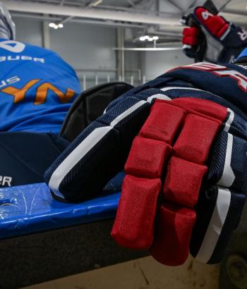 Adler Mannheim Gegnercheck SCL