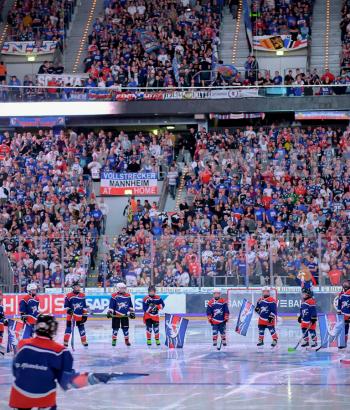 Adler Mannheim Heimauftakt