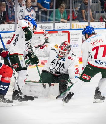 Adler Mannheim PC AEV