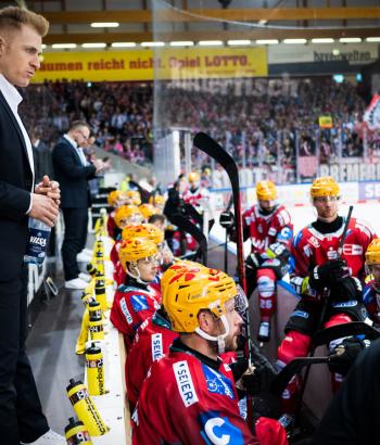 Adler Mannheim PC BHV v6
