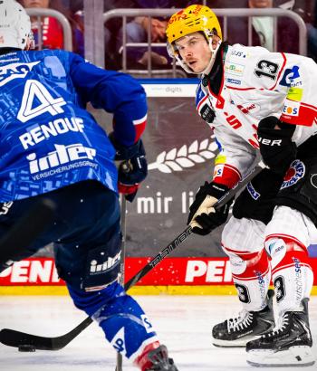 Adler Mannheim PC BHV v7
