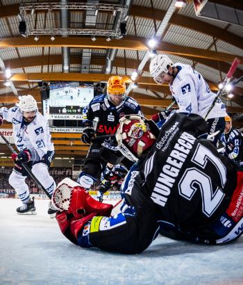 Adler Mannheim PC BHV v8