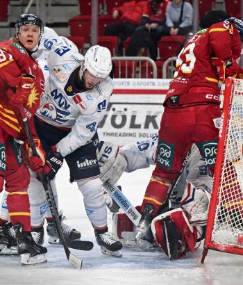 Adler Mannheim PC DEG v5