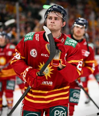 Adler Mannheim PC DEG v6