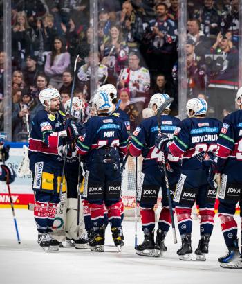 Adler Mannheim PC EBB