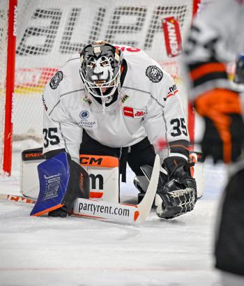Adler Mannheim PC FRA v2