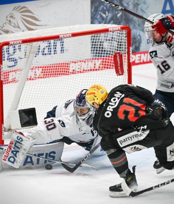 Adler Mannheim PC FRA v3