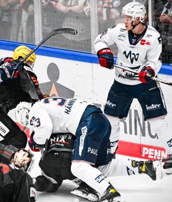 Adler Mannheim PC FRA