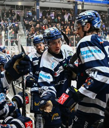 Adler Mannheim PC IEC v3