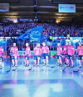 Adler Mannheim PC IEC v4