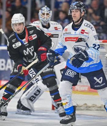 Adler Mannheim PC ING v6