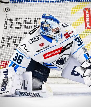 Adler Mannheim PC ING v8