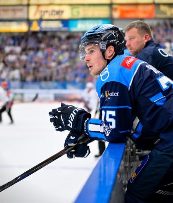 Adler Mannheim PC ING v9