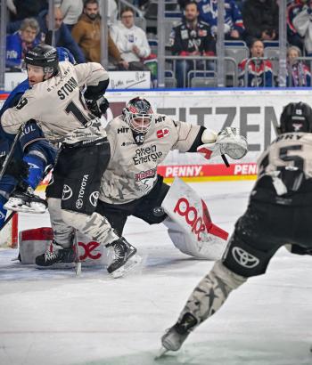 Adler Mannheim PC KEC v2