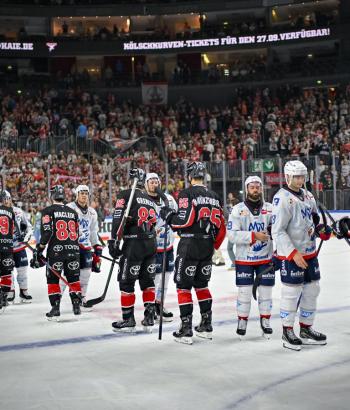 Adler Mannheim PC KEC v5