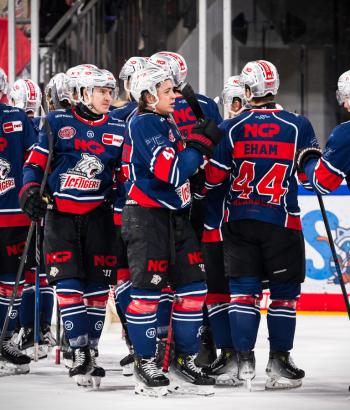 Adler Mannheim PC NIT v6