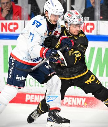Adler Mannheim PC NIT v7