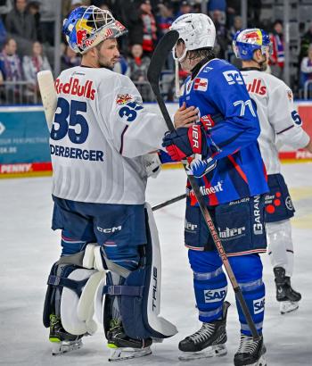 Adler Mannheim PC RBM v4