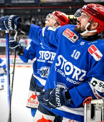 Adler Mannheim PC SWW v4