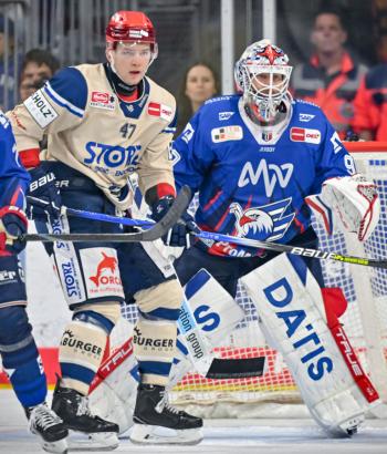 Adler Mannheim PC SWW v5